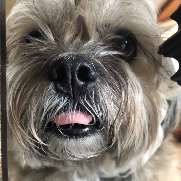 Meet your Posher, Pat - Picture 3 of 6